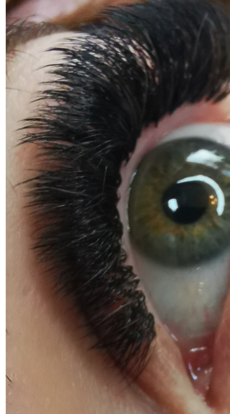 Volume lash extensions shown in close up on a green eye